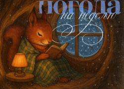 Какая погода придет в Воронеж вместе с декабрем? 