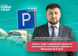 Парковочные штрафы в Воронеже: «Новые люди» предлагают изменить систему из-за массовых проблем