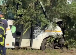Маршрутка врезалась в дерево и попала на видео в воронежской Отрожке
