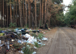 На окраине Воронежа покойники «задыхаются» от мусора 