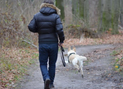 В Воронеже пес привел хозяина к телу пропавшей женщины