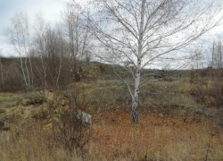 Директор мясокомбината застрелил водителя в воронежском карьере