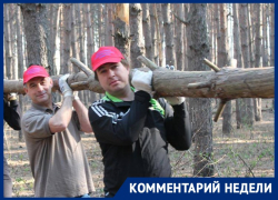 "Уживчивых" Лоткова, Кустова и Шабалатова пытается поссорить "гадюшник"