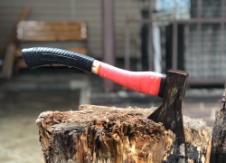 Смертельное избиение пенсионера топором дошло до суда в Воронежской области