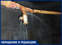 "Цензурные слова закончились", - местная жительница показала, где в случае ЧС будут спасаться воронежцы