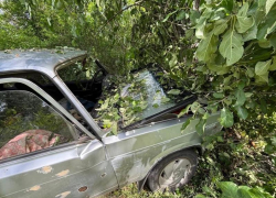 Автомобилист вылетел с дороги и разбился в ДТП в Воронежской области