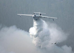 К тушению пожара на полигоне "Погоново" привлекли самолет Минобороны