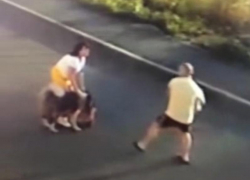 Огромный бездомный пес порвал маленькую собаку на глазах детей и хозяйки под Воронежем 