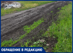Жителям Новой Усмани пообещали отремонтировать дорогу через год, если будут деньги