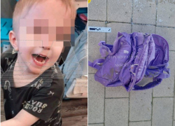 Что известно о расчленении ребенка, чью голову нашли в московском пруду 