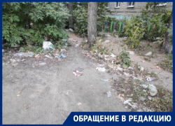 Дочь скандального воронежского коммунальщика развела грязь под окнами прокуратуры и суда 