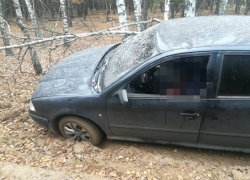 Водителя без головы нашли в машине в Воронеже