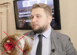 Медведя со ртом вместо ануса предложил запретить депутат Госдумы