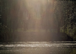 Молодой мужчина утонул в пруду под Воронежем