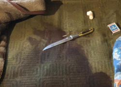 Жительница Воронежской области заколола ножом своего любовника за грубость