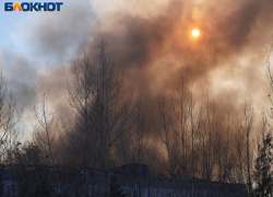 Пожар вблизи взрывоопасных объектов вызвали упавшие обломки БПЛА в Воронежской области