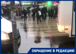 Остановочная лужа нещадно подставила воронежских пешеходов