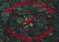 Осенний марафон: как воронежцам пережить последнюю неделю сентября