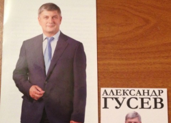 За кандидата в мэры Воронежа Александра Гусева агитируют в овощных киосках