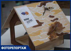 Дома для пернатых в эко-стиле создали в Воронеже