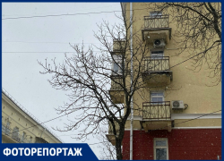 В поисках весны: как пробуждается серый Воронеж