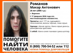 Длинноволосый юноша пропал в Воронеже