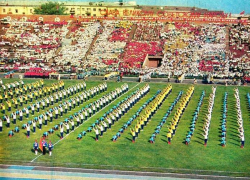 Грандиозный спортивный праздник советских детей 61 год назад проходил в Воронеже