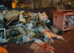 Улицу в честь воронежского героя превратили в свалку