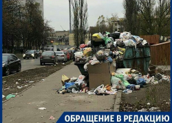 Мусорный контейнер потеснил пешеходов на тротуаре в Воронеже