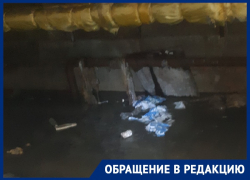 Корни деревьев спровоцировали фекальное наводнение на воронежских Ваях