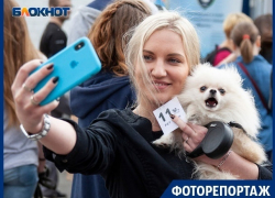 Уникальная душевая для четвероногих друзей  приняла первых клиентов в Воронеже