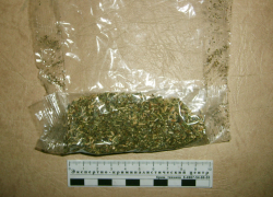 Воронежский наркоконтроль задержал торговцев и изготовителей «спайса»