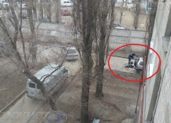 Воронежец, которого поймали сотрудники ДПС с трупом в машине, пойдет под суд 