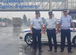 Мужчина потерял сознание от укуса шершня и чуть не задохнулся под Воронежем