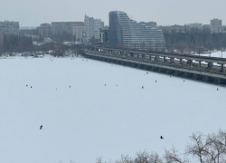 Рыбаки массово вышли на Воронежское водохранилище, воспользовавшись оттепелью