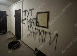 Вандалы устроили перфоманс возле жилища «матери наркоторговца в Воронеже»