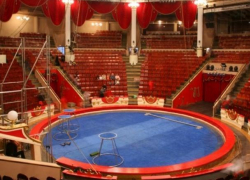 В воронежском цирке во время выступления обвалилась конструкция