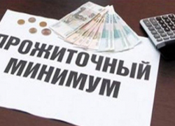 Прожиточный минимум населения Воронежской области вырос почти на 300 рублей