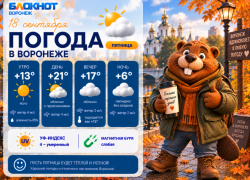 Солнышко вернулось: прогноз погоды в Воронеже