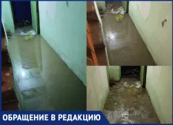 «Сотрудники травятся, свет отключен, а ремонт займет 3–4 месяца»: воронежский благотворительный склад утонул в фекалиях