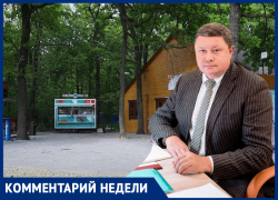 Левобережную альтернативу «Олимпику» предложили создать в Воронеже