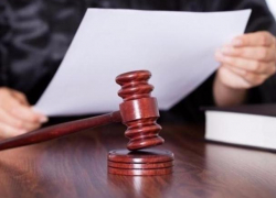 Мэр воронежской Анны за вырубку 400 деревьев в парке отделался в суде легким испугом