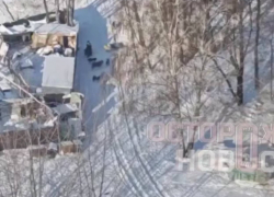 «Трупы сбрасывают в воду»: воронежцы бьют тревогу из-за приюта у водохранилища