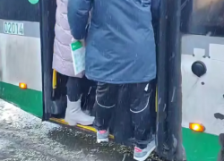 Стоит на порожке, свисает немножко: транспортный коллапс наглядно показали в Воронеже 