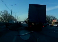 Массовое ДТП с участием телят под Воронежем попало на видео 