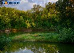 Восемь человек утонули за лето в Воронежской области  