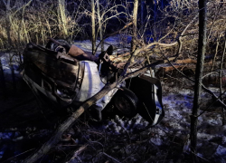 Последствия опрокидывания машины в кювет показала на фото воронежская полиция