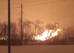 Опубликовано видео жуткого пожара на тепличном комплексе в Воронежской области