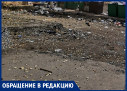 «Дети гуляют по мусору»: воронежцы сообщили о тотальном загрязнении городских дворов