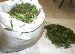 Сотрудники ФСКН нашли мешок конопли у жителя Левого берега 